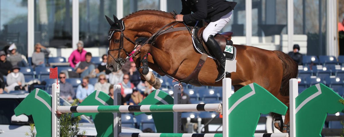 Untouched & Nick Skelton